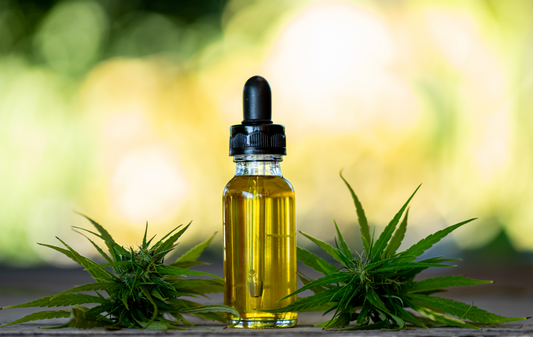 Cannabis medicinal no Brasil: como funciona o processo de autorização?