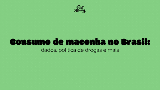 Consumo de maconha no Brasil: dados, política de drogas e mais