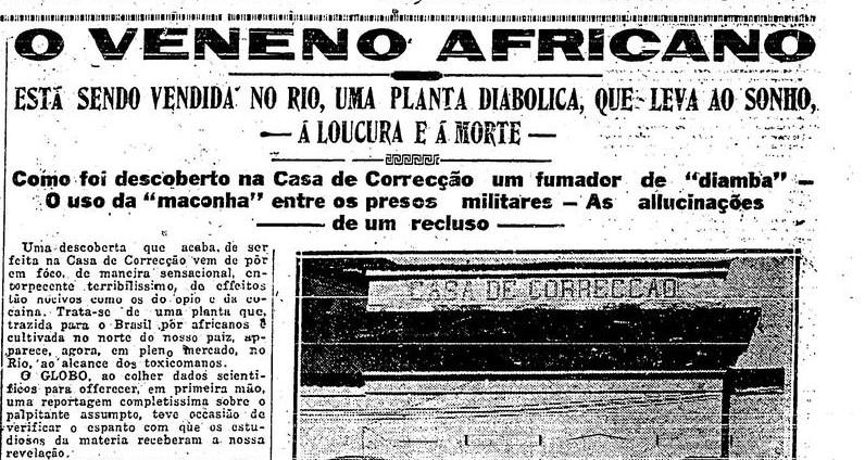 Como a cannabis chegou no Brasil? Conheça a história!