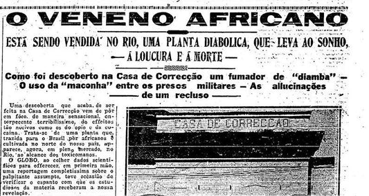 Como a cannabis chegou no Brasil? Conheça a história!