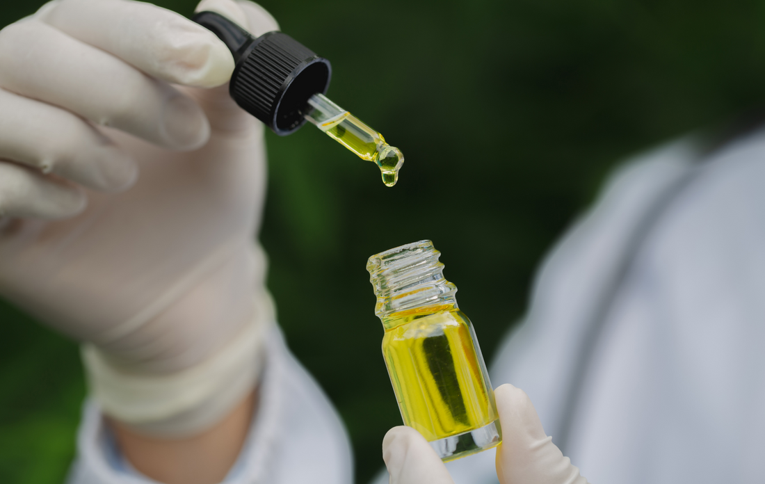 Cannabis no tratamento de epilepsia: o que dizem os estudos?