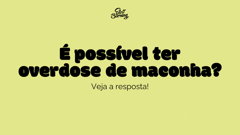 É possível ter overdose de maconha? Veja a resposta!