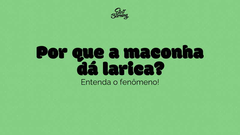 Por que a maconha dá larica? Entenda o fenômeno!