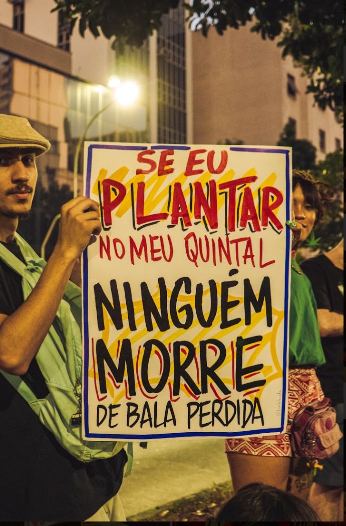 Regras para o cultivo da cannabis no Brasil em 2026