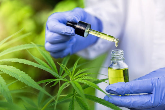 Como iniciar tratamento com cannabis medicinal no Brasil?
