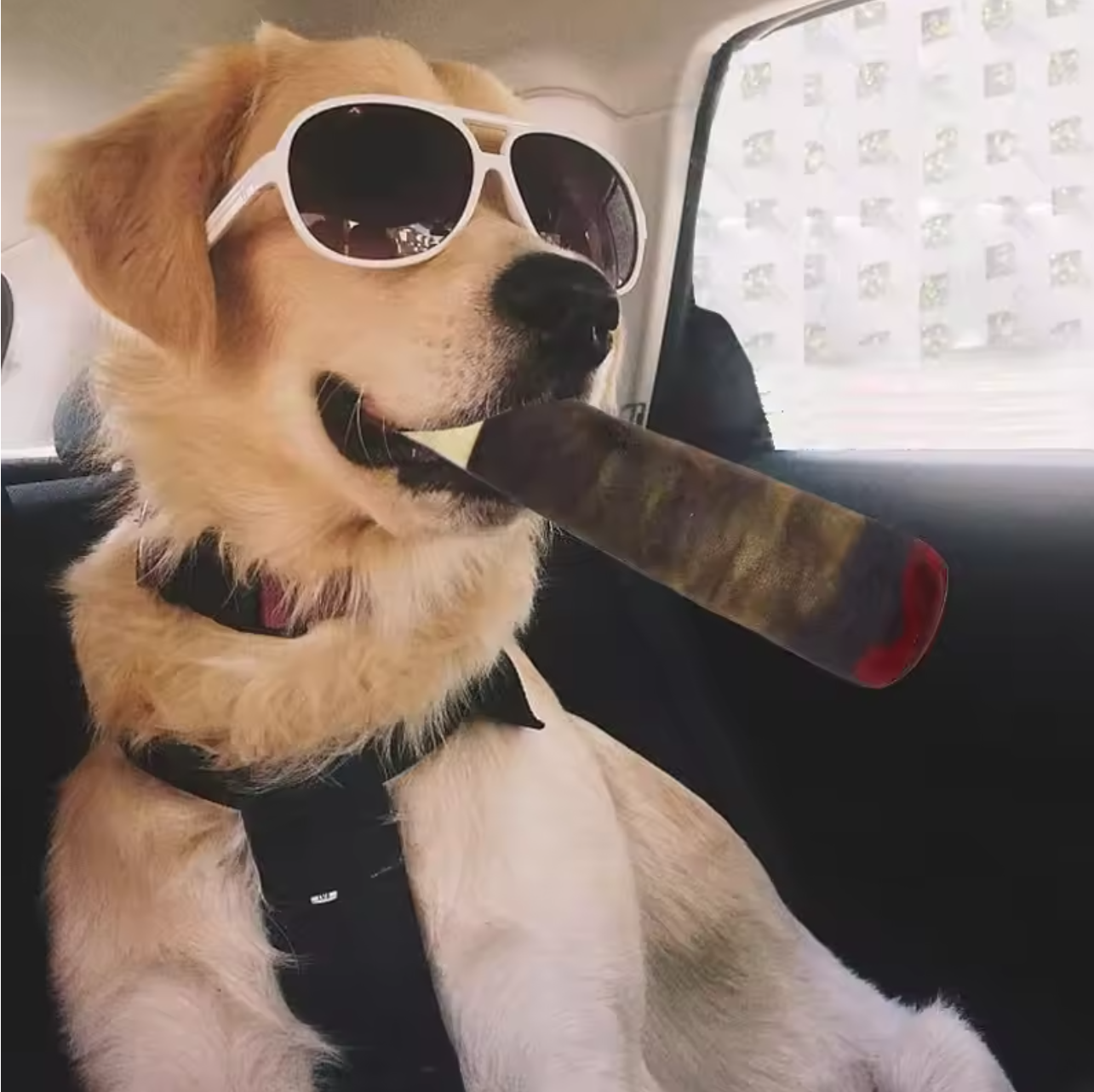 Pelúcia Boladin para Pets - Slow Burning